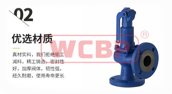 蒸汽安全阀2.jpg