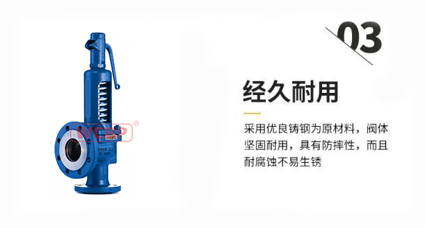 蒸汽安全阀3.jpg