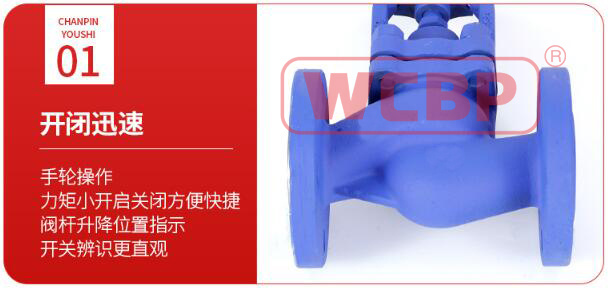 截止止回阀01.jpg